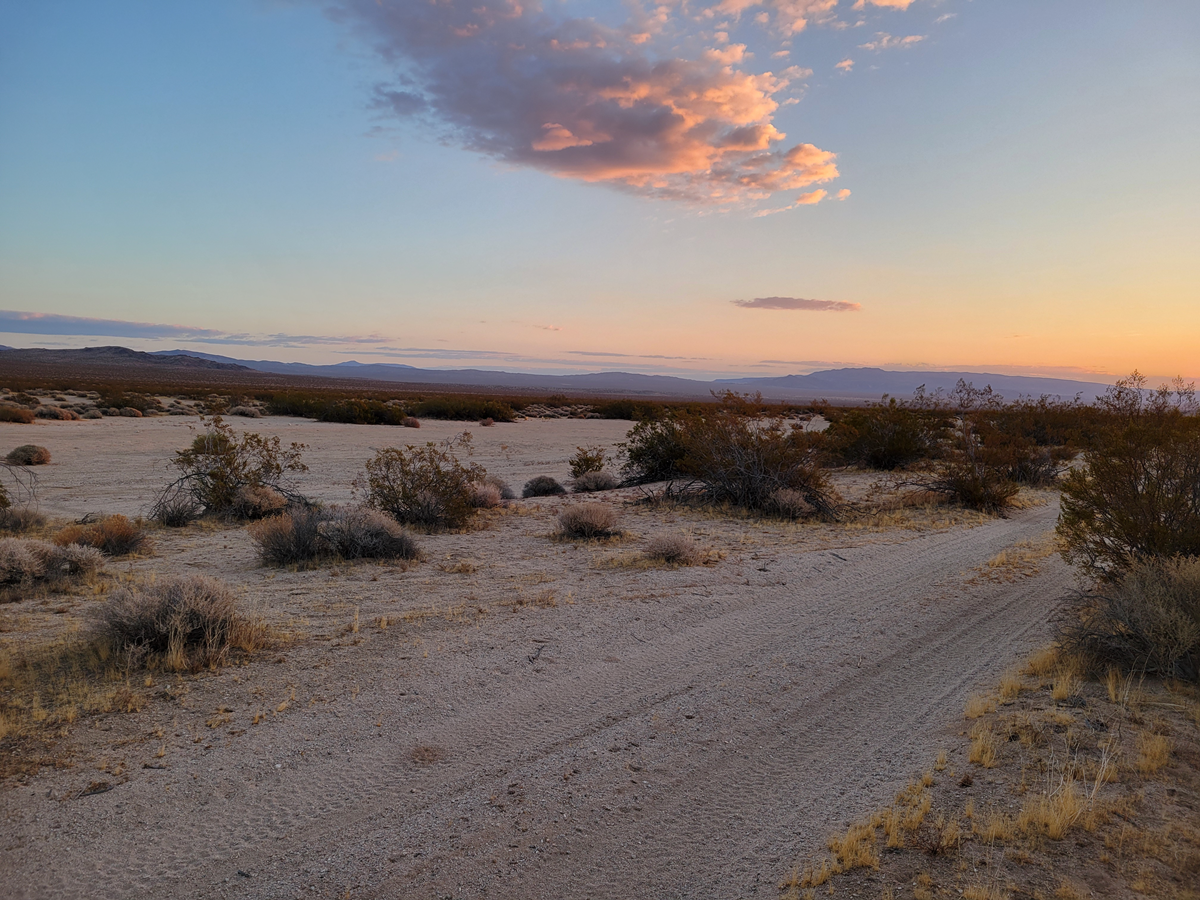 — 40 Acre Investor’s Dream, Lockhart