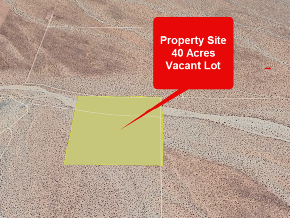 — 40 Acre Investor’s Dream, Lockhart