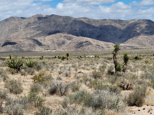10 Acres Apple Valley Land – Endless Possibilities Await!