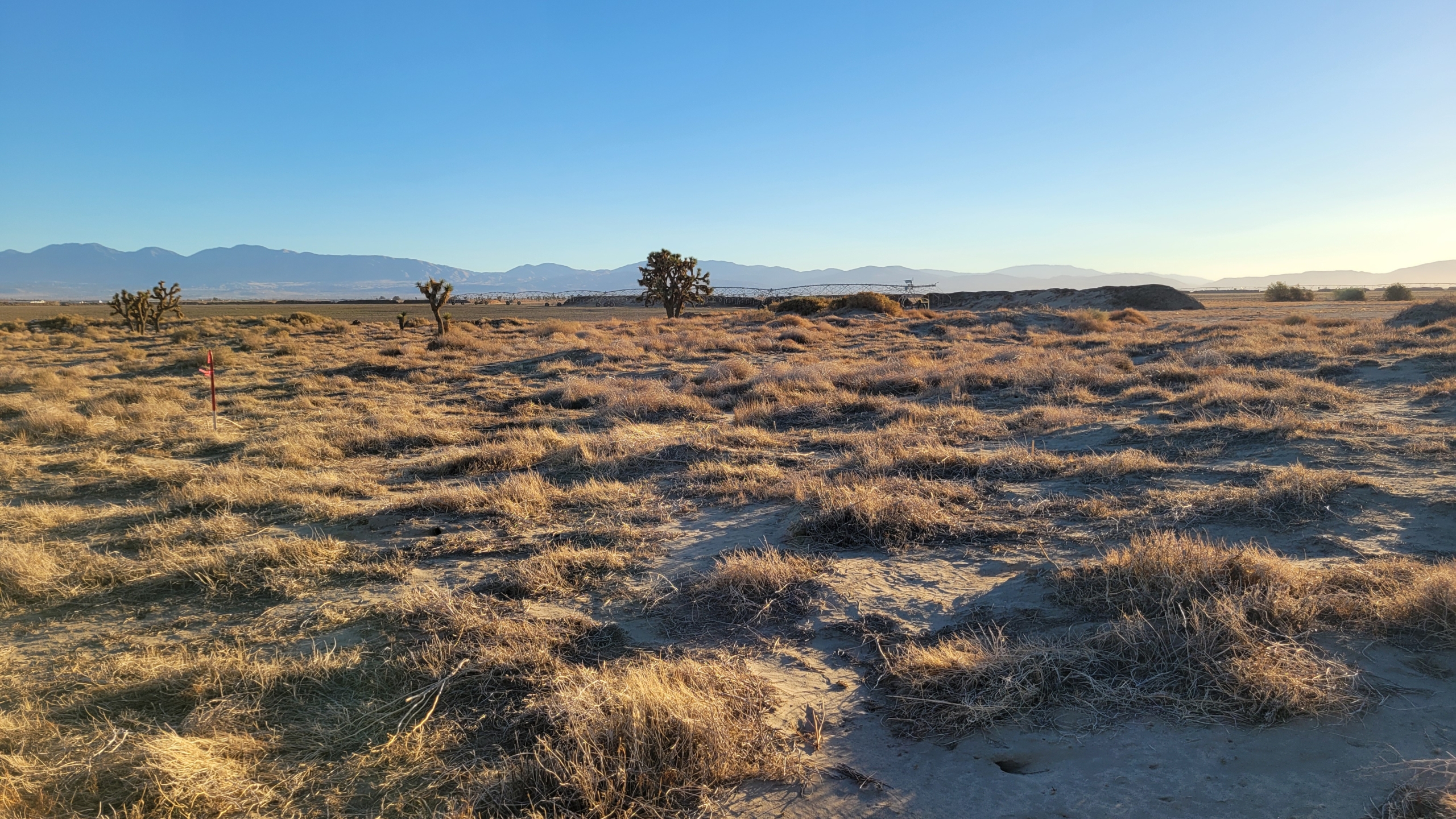 realimages_3378006015_1