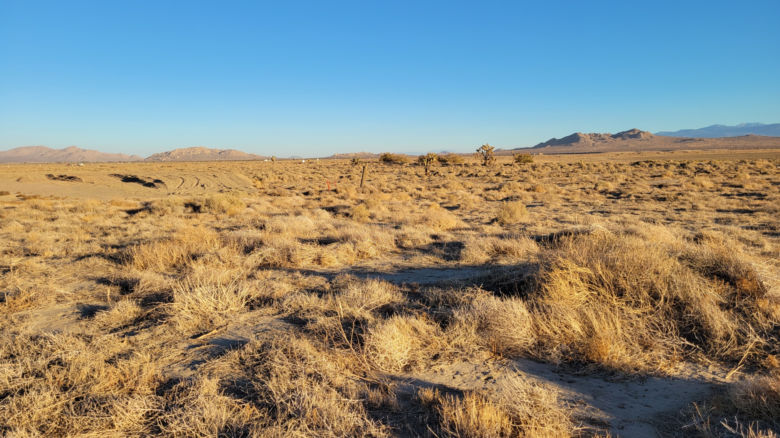 realimages_3378006015_2