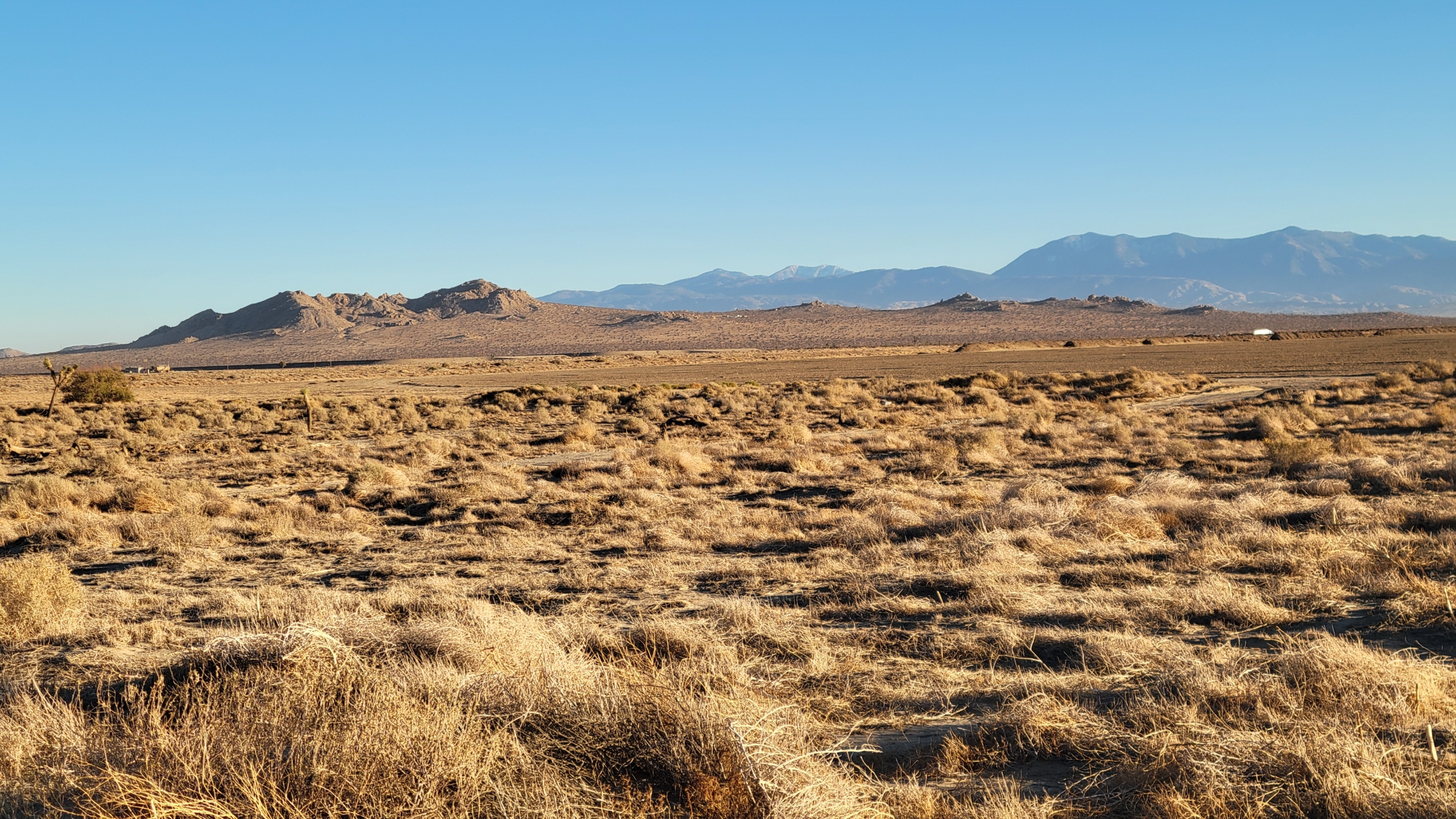 realimages_3378006015_3