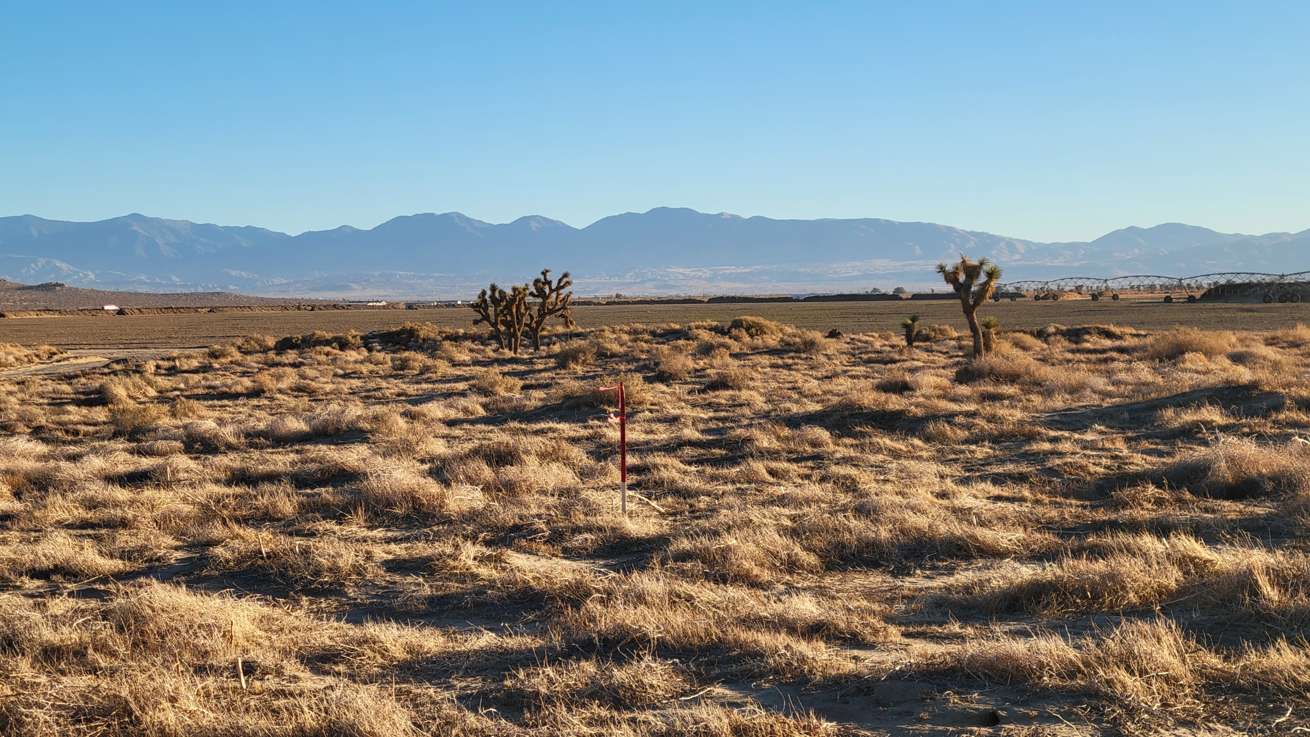 realimages_3378006015_4