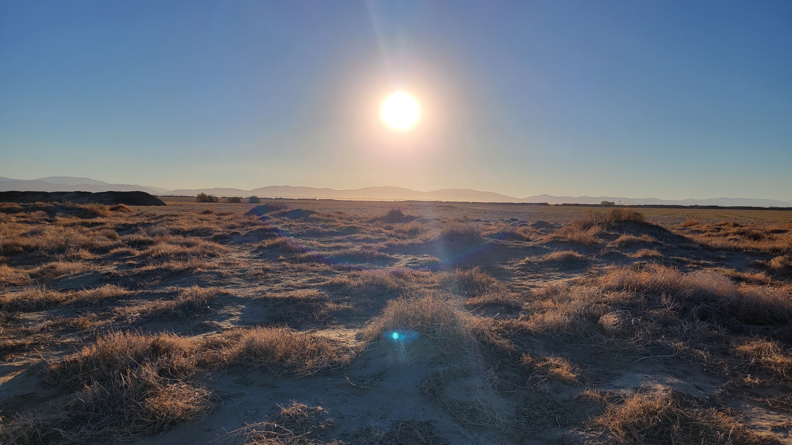 realimages_3378006015_5